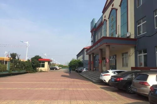 廠區(qū)拍賣 多家追債 東營又一輪胎廠危在旦夕